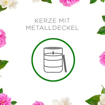 Duftkerze im Glas Beruhigende Wildrose & Jasmin 310 g AIR WICK