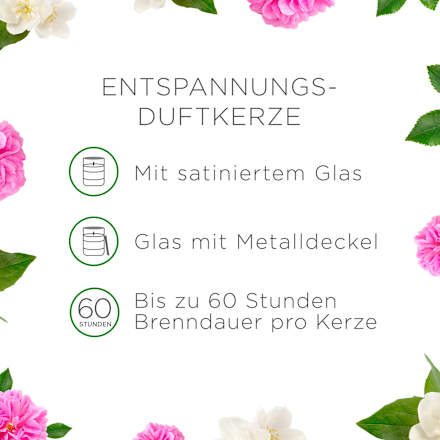Duftkerze im Glas Beruhigende Wildrose & Jasmin 310 g AIR WICK