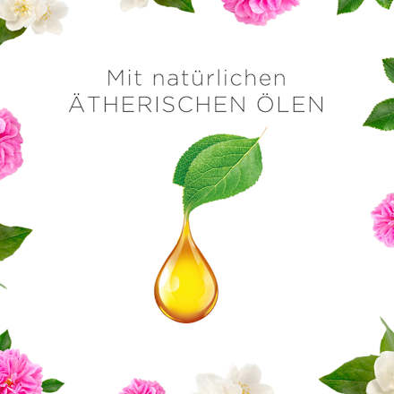 Duftkerze im Glas Beruhigende Wildrose & Jasmin 310 g AIR WICK