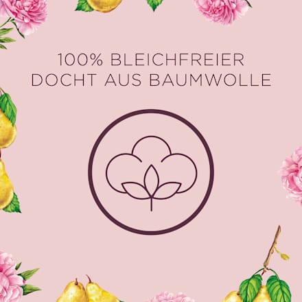 Duftkerze im Glas Pfingstrose & Anjou-Birne 220 g AIR WICK