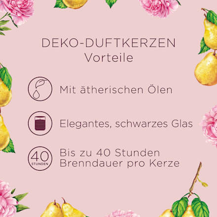 Duftkerze im Glas Pfingstrose & Anjou-Birne 220 g AIR WICK