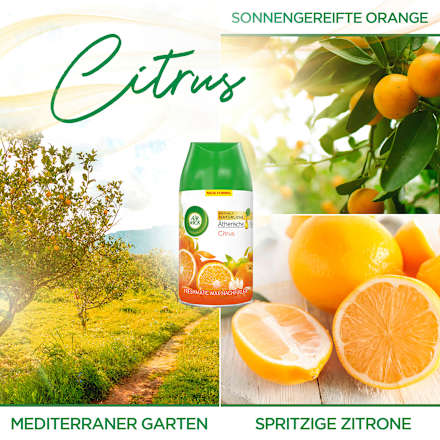 Lufterfrischer Freshmatic Citrus Nachfüllpack (2x250 ml) AIR WICK