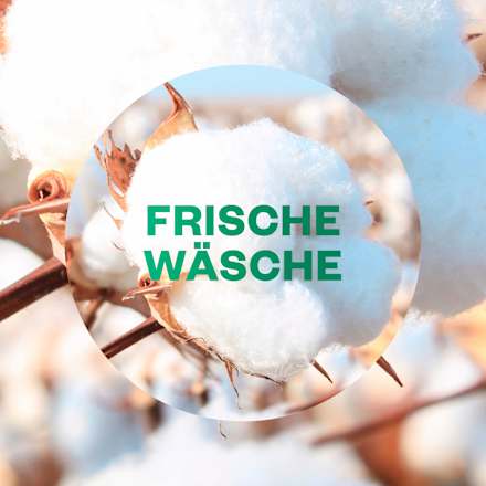 Lufterfrischer für Bad & kleine Räume Frische Wäsche AIR WICK