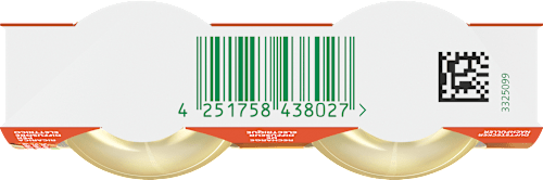 Lufterfrischer Duftstecker Pumpkin Spice Magic Nachfüllpack (2x19 ml) AIR WICK