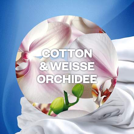 Lufterfrischer Duftstecker Cotton & Weiße Orchidee Nachfüllpack AirWick