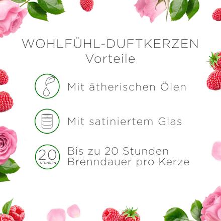 Duftkerze im Glas Raspberry Rose Splash 105 g AirWick