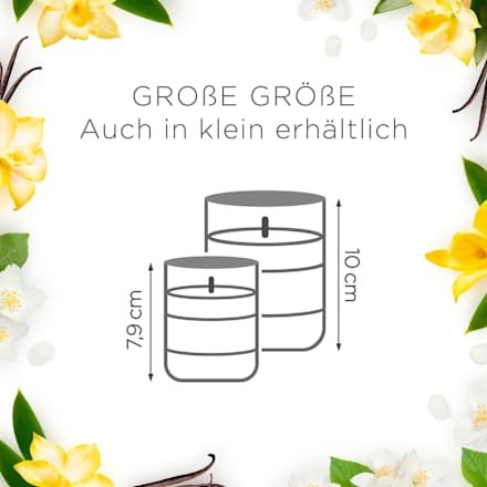 Duftkerze im Glas Sweet Vanilla Magic 220g AIR WICK