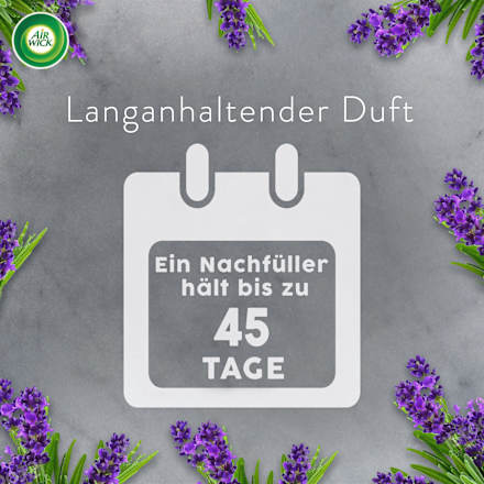 Lufterfrischer Aroma-Öl  Entspannender Lavendel Nachfüllpack AirWick