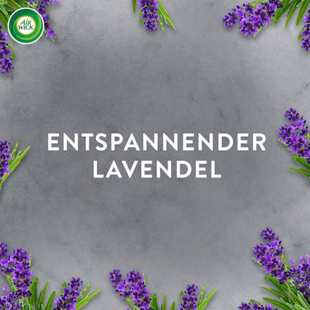 Lufterfrischer Aroma-Öl  Entspannender Lavendel Nachfüllpack AIR WICK
