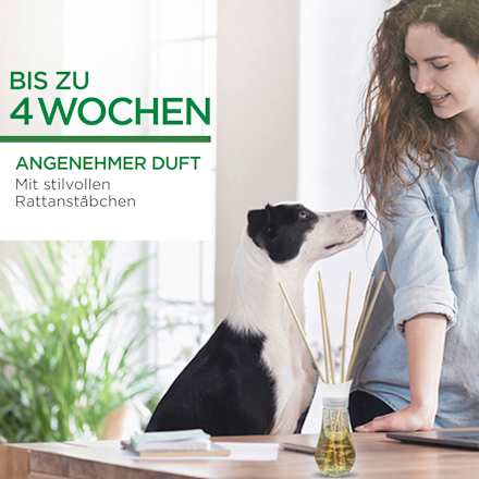 Duftvase mit Aromaperlen Sommervergnügen AIR WICK