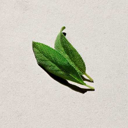 UEFA 10 Champions League Woda toaletowa męska  adidas