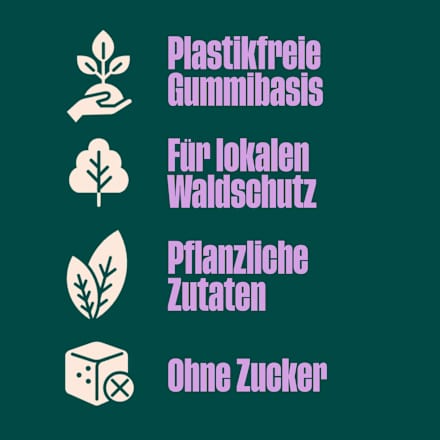 Kaugummi, Cassis Minze, zuckerfrei Forest GUM