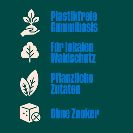 Kaugummi Strong Mint zuckerfrei  Forest GUM