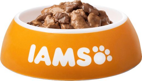 Nassfutter Katze mit Huhn & Pute in Sauce IAMS