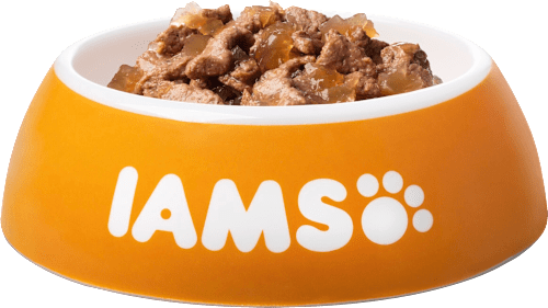 Nassfutter Katze mit Thunfisch & Hering in Gelee IAMS
