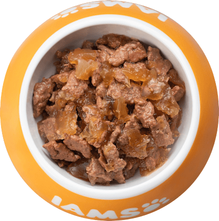 Nassfutter Katze mit Thunfisch & Hering in Gelee IAMS
