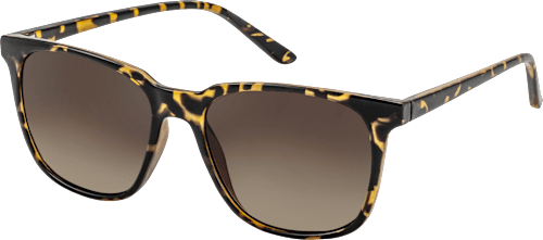 sluneční brýle, žíhané hnědé SUNDANCE