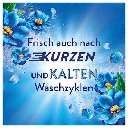 Weichspüler Meeresbrise, 42WL Lenor