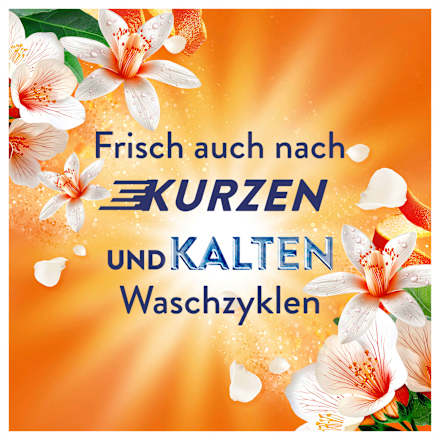 Weichspüler Orange & Verbene, 42 WL Lenor