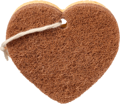 Bureți vase Profissimo