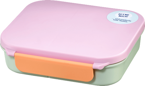 Obedový box s priehradkami babylove