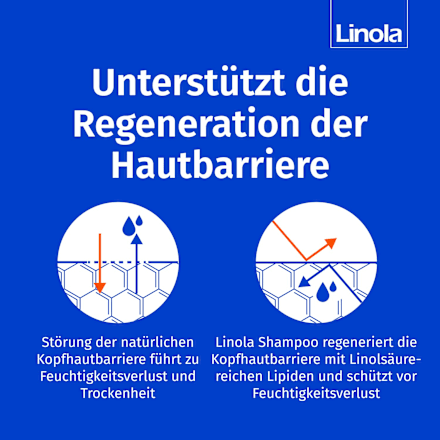 Linola Shampoo mit wertvollen Linolsäuren Linola