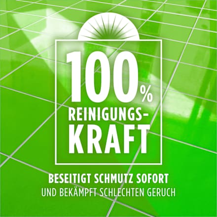 Allzweckreiniger Frühlingsblumen  AJAX