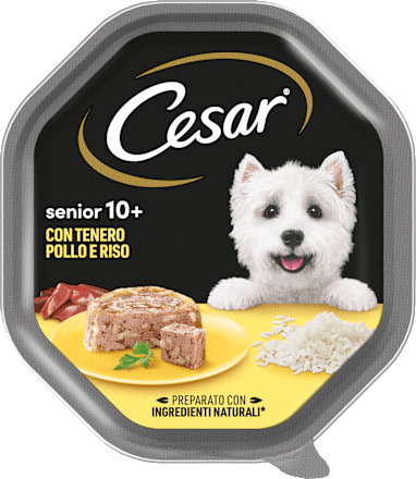 Cibo umido con pollo e riso per cane senior 10+ Cesar