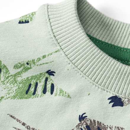 T-Shirt Pro Climate mit Dino-Muster, grün, Gr. 110 ALANA