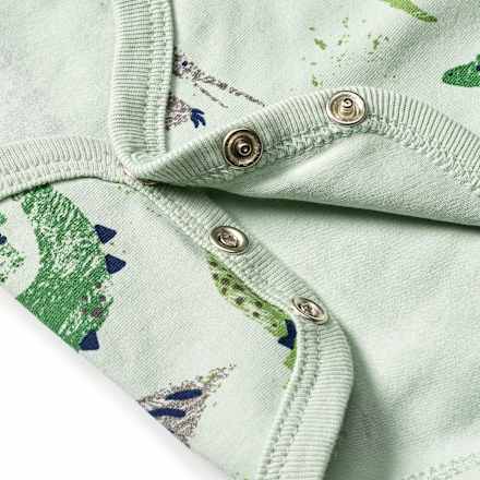 Body Langarm Pro Climate mit Dino-Muster, grün, Gr. 74/80 ALANA