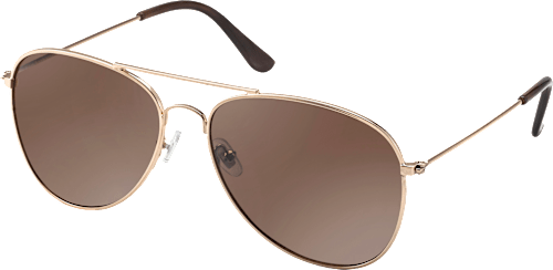 Sonnenbrille Unisex gold-braun SUNDANCE