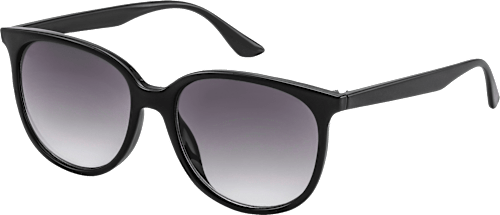 Sonnenbrille Damen elegant schwarz SUNDANCE