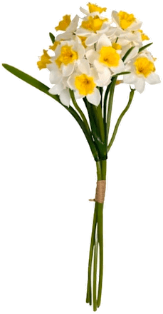Umjetni buket narcis – bijeli Ira Commerce