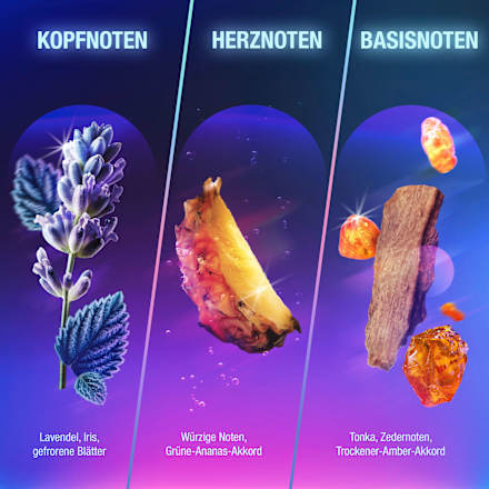 Deospray Frozen Leaves & Amber bb Energy Bruno Banani