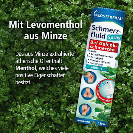 Schmerzfluid Spray Klosterfrau