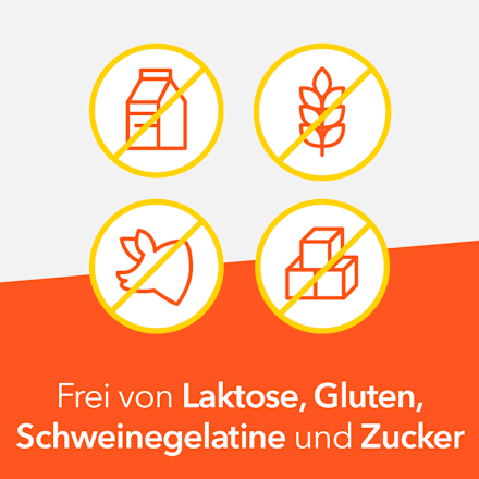 Vitamin B-Komplex-ratiopharm Hartkapseln 60 St ratiopharm