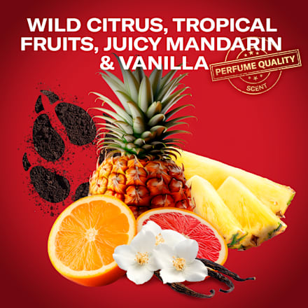 sprchový gel 3 v 1 Super Mario Old Spice