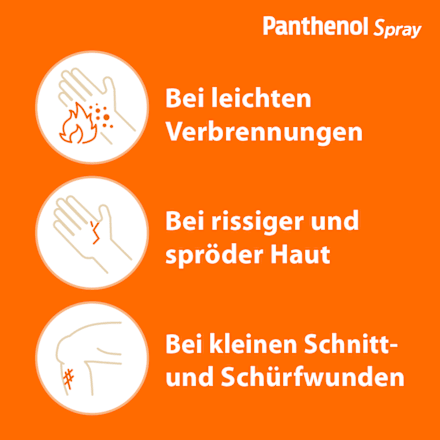 Panthenol Spray 46,3 mg/g Dexpanthenol Schaum zur Anwendung auf der Haut  PANTHENOL