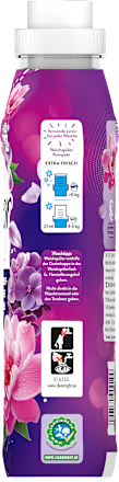Weichspüler Blütentraum 42WL Lenor