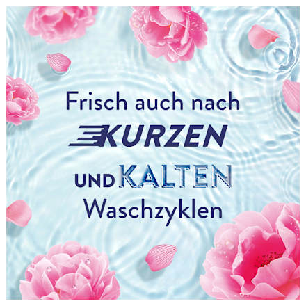 Weichspüler Frühlingsgarten, 42WL Lenor