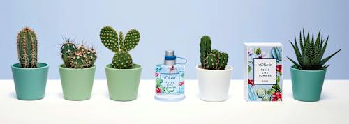 Női EdT Feels like Summer s.Oliver