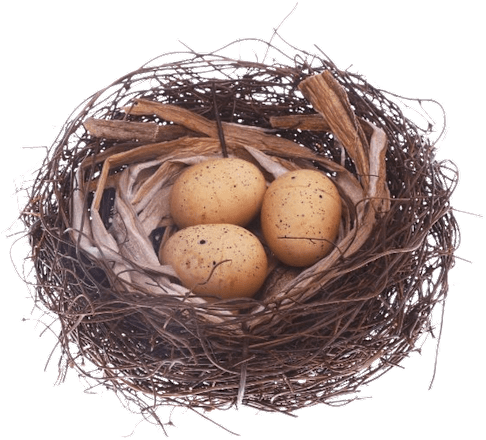 Ukrasno gnijezdo s jajima Ira Commerce