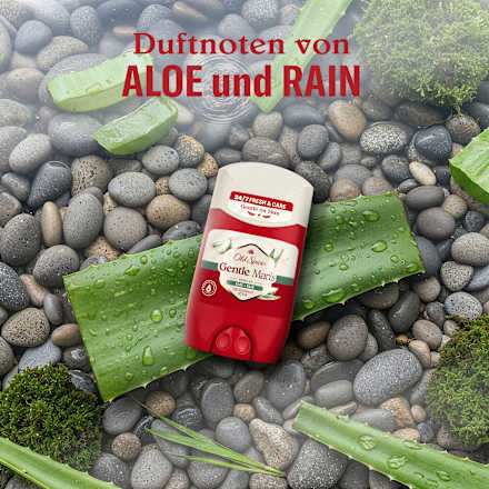 Deostick Gentle Man's Aloe & Rain Old Spice