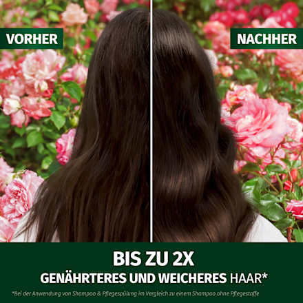 Shampoo Blütensanft Rosenduft Herbal Essences