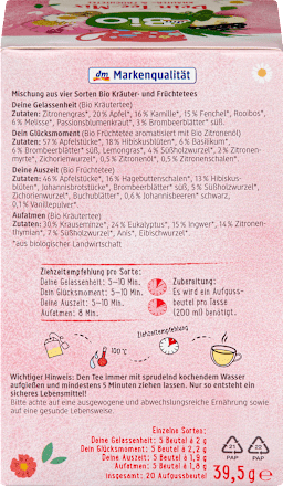 Tee-Mix, Kräuter- & Früchtetee 4 Sorten (20 Beutel) dmBio