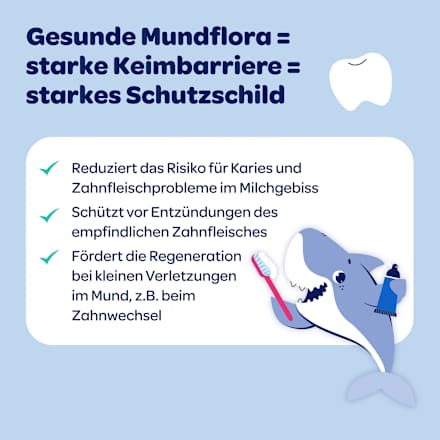 Zahnpasta Kids Mundflora+, 2-6 Jahre Dentinox