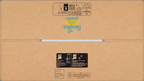 Baby Pants Premium Protection Gr. 6 Extra Large (13-19 kg) Monatsbox Pampers