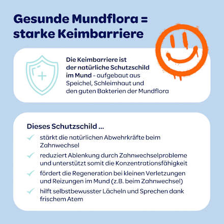 Zahnpasta Junior Mundflora+, 6-12 Jahre Dentinox