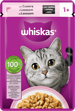 Hrana za mačke – losos Whiskas
