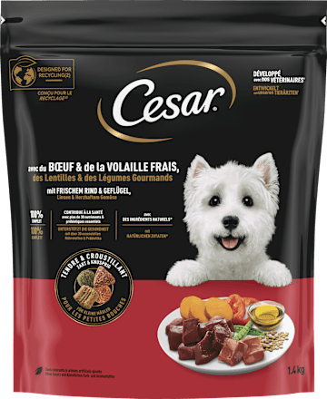 Trockenfutter Hund Rind & Geflügel Cesar